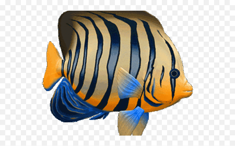 Tropical Fish Clipart 3d Fish - Peces Gif Animados Png Fish Clipart 3d Emoji,Fish Hook Emoji