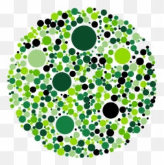 Chameleon Communications International Emoji,Chameleons Color Emotions
