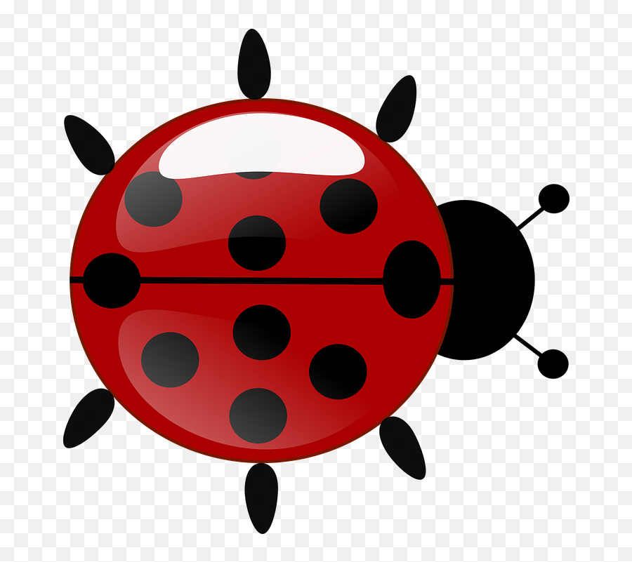 Lady Bug Cartoon 14 - Lady Bug Png Joaninha Emoji,Emoticon For A Lady Bug