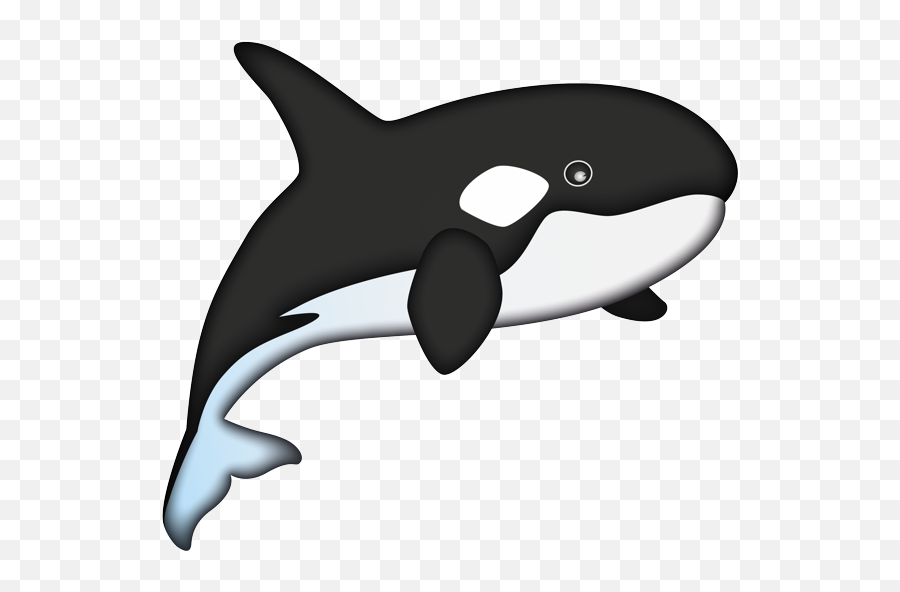Coding Workshops For Women - Orca Emoji,Different Whale Emojis
