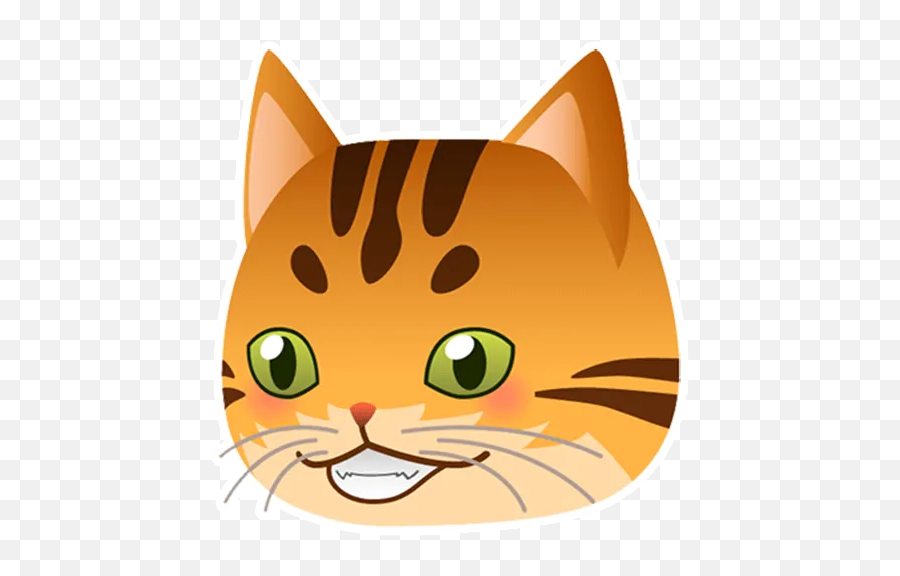 Cat Pack 1 By Marcos Roy - Sticker Maker For Whatsapp Emoji,