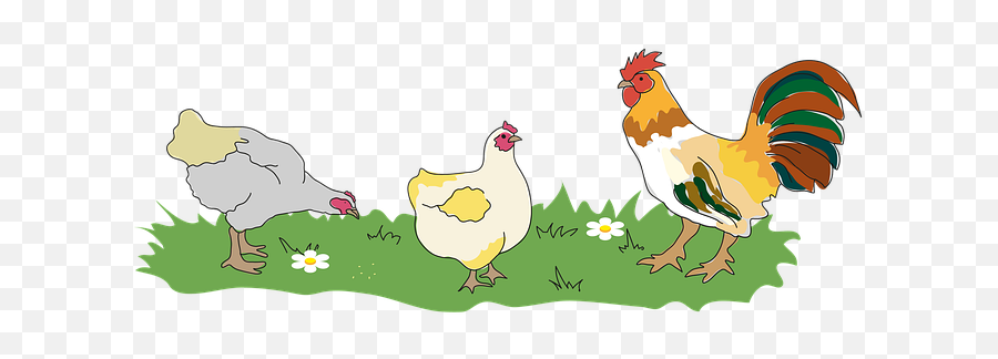 Andreyandlesya Pixabay Emoji,Chicken Walking Emoji