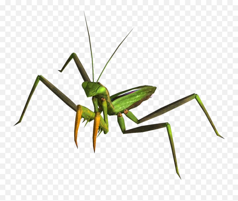 Mantis Png - Fallout Mantis Emoji,Mantis Emoji