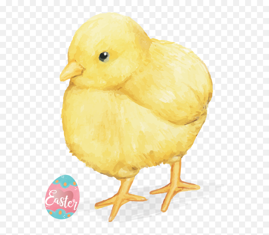Easter Chicken Bird Beak For Easter Day For Easter - 4870x5712 Animal Figure Emoji,Rooster Emoticon