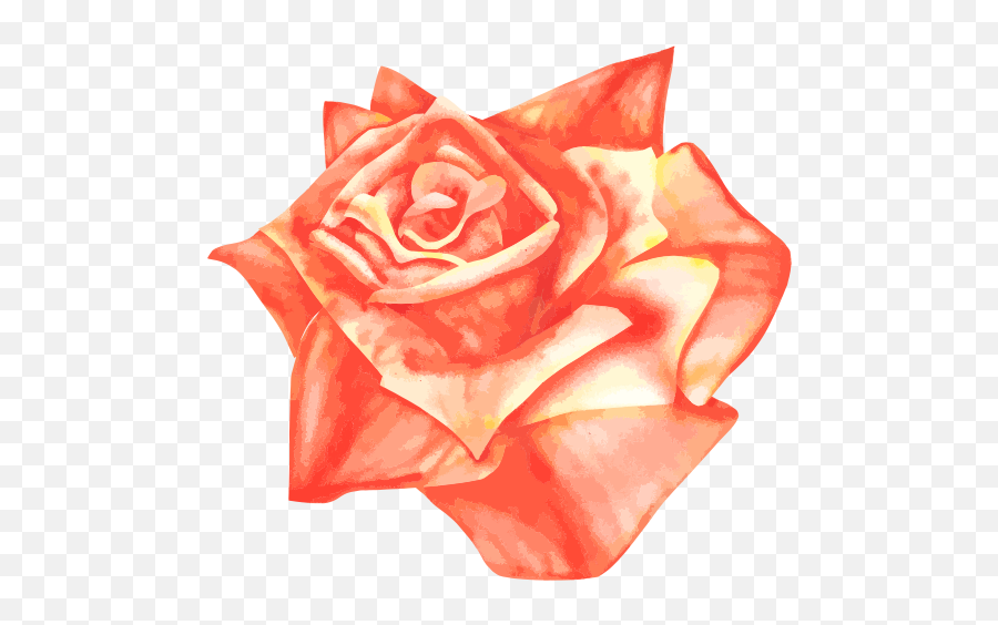 Rose Day 2019 - Orange Rose Vector Png Emoji,Deep Emotions Roses
