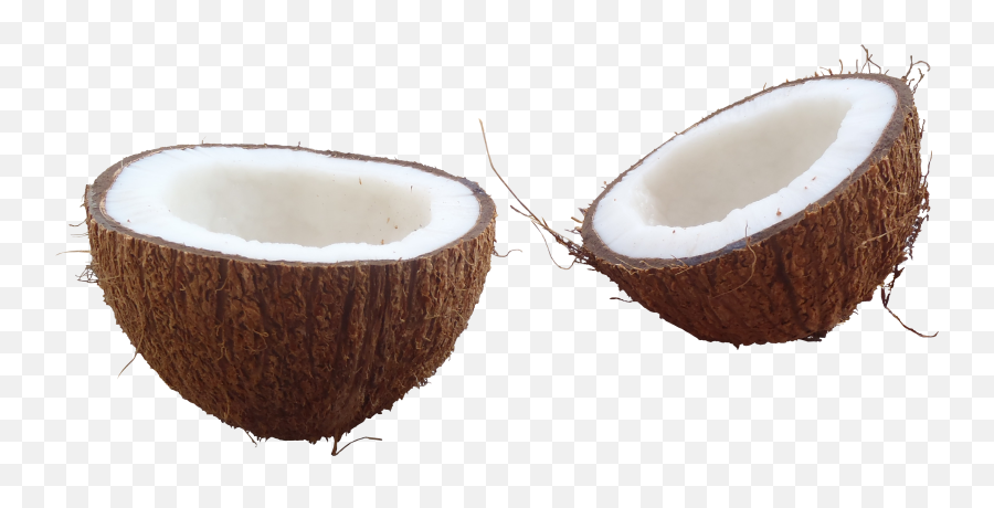 Download Half Coconut Image Download - Half Coconut Png Emoji,Avocado Emoji Png