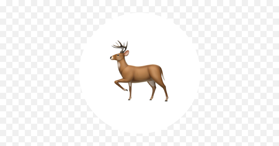 Torus Labs Partners - Deer Emoji Apple,Elk Emoticons For Gmail