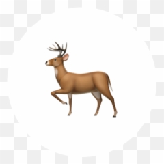 Torus Labs Partners - Deer Emoji Apple,Elk Emoticons For Gmail