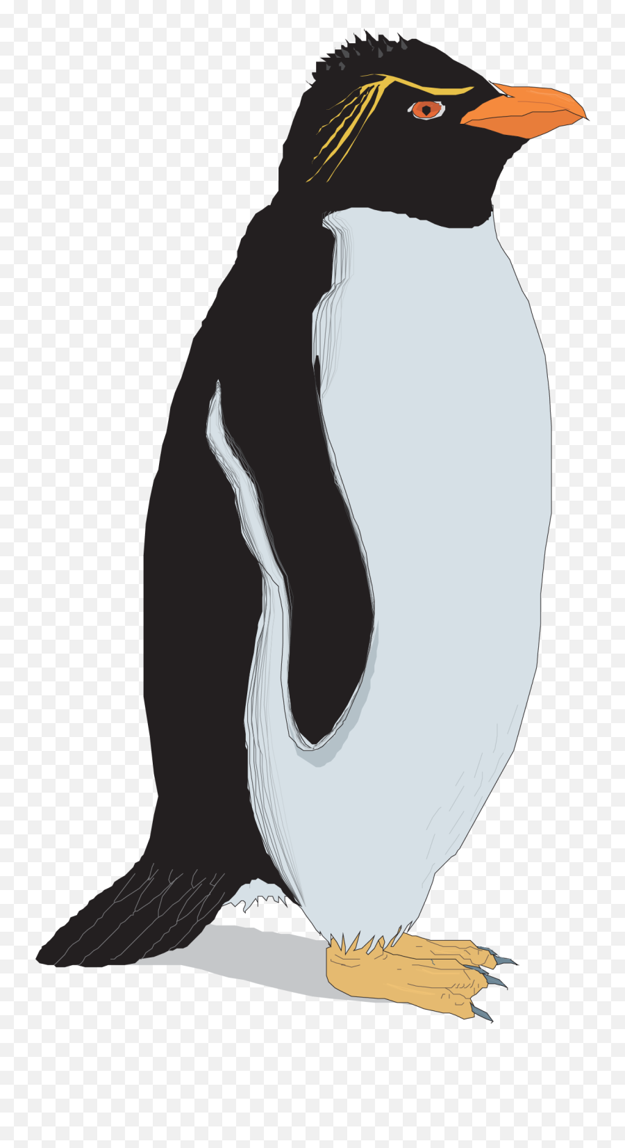 Rockhopper Penguin Clip Art - Vector Hand Painted Penguins Rockhopper Penguin Clip Art Emoji,Whatsapp Emoticons Penguinpng