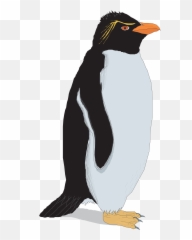 Rockhopper Penguin Clip Art - Vector Hand Painted Penguins Rockhopper Penguin Clip Art Emoji,Whatsapp Emoticons Penguinpng