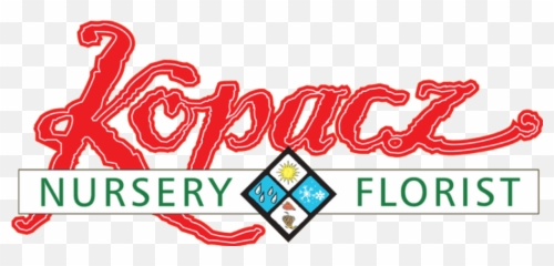 Hermiston Florist Flower Delivery By Kopacz Nursery U0026 Florist Emoji,Like A House Plant With Complicated Emotions