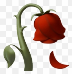 Iphone Flower Emoji Transparent Background - Novocomtop,Apple Sparkle Emoji