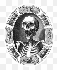 Wack Stickers U2013 Wackpack Emoji,Skullbones Emoji
