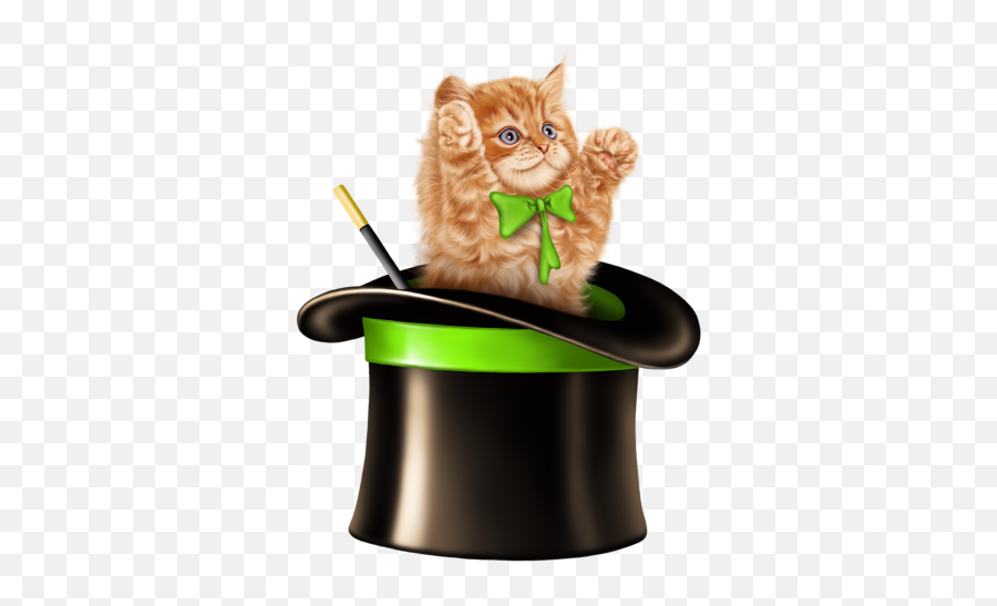 Cat Kitten Kitty Cute Hat Tophat Sticker By Kayoss - Clipart A Cat In A Hat Emoji,Magic Hat Emoji