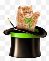 Cat Kitten Kitty Cute Hat Tophat Sticker By Kayoss - Clipart A Cat In A Hat Emoji,Magic Hat Emoji