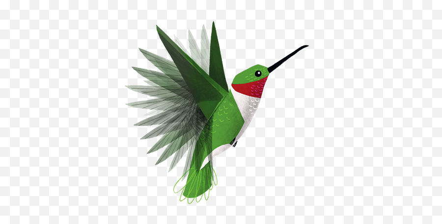 Texas Birds Sticker Pack By Texas Parks U0026 Wildlife - Hummingbird Emoji,Hummingbird Emoji