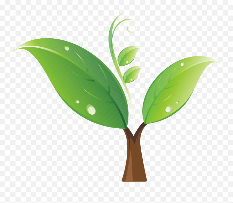 Seedling Clipart Many Plant Seedling - Hoja Verde De Arbol Emoji,Bean Sprout Emoji