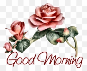 Gifs - 21 Good Morning Gifs Pictures Photos Good Morning Rose Gif Emoji,Kash Doll Emoji
