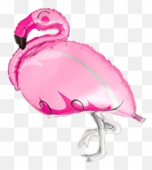 Flamingo Fun Party Theme Pool Party Just Party Supplies Nz - Balloon Emoji,Flamongo Emoji