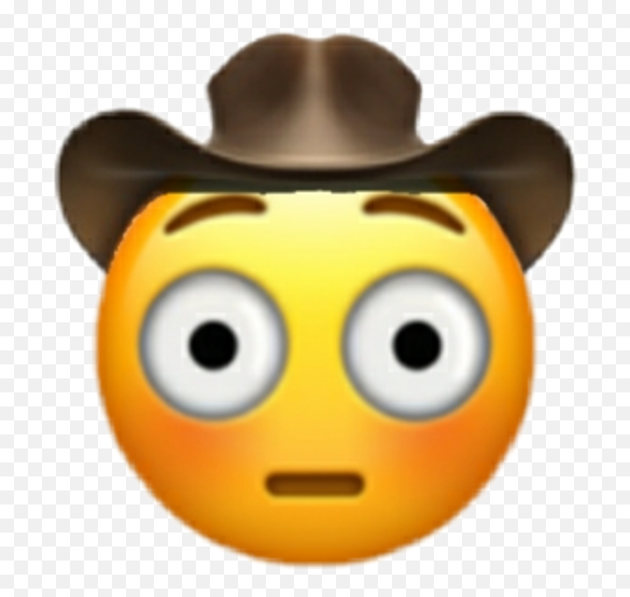 Welcome To Texas Fandom - Emoji,Texas Smiley Face Emoticon