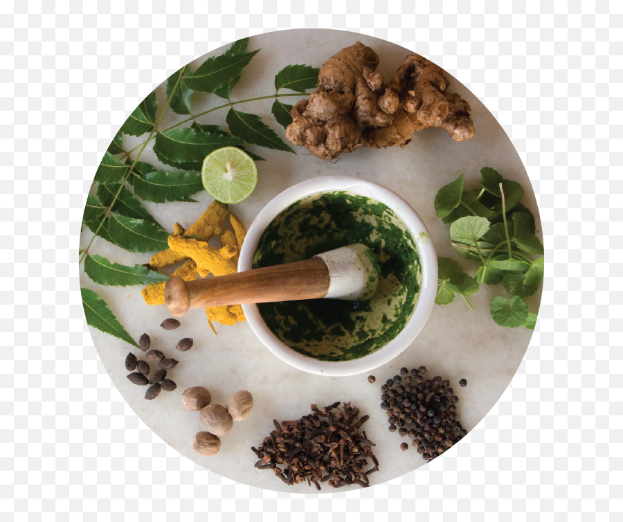 Intro To Ayurveda - The Science Of Life U2014 The Wright Methods Emoji,Ayurveda Emotions Organs