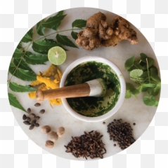 Intro To Ayurveda - The Science Of Life U2014 The Wright Methods Emoji,Ayurveda Emotions Organs