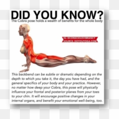 How Yoga Can Help You To Fight Against Covid - 19 The Read Today Emoji,Postures Of Emotion