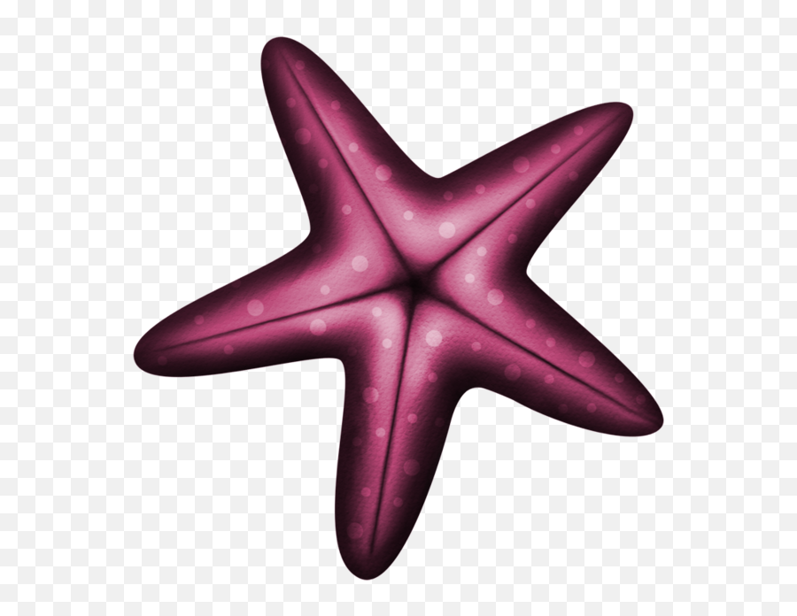 Starfish Transparent Png Image Ideas - Desenho Estrela Do Mar Png Emoji,Starfish Emoji