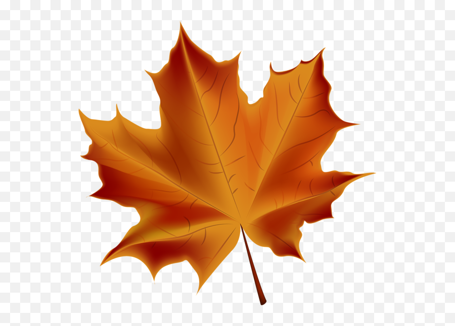 Beautiful Red Autumn Leaf Transparent Png Clip Art Image - Transparent Background Autumn Leaf Clipart Emoji,Red Leaf Emoji