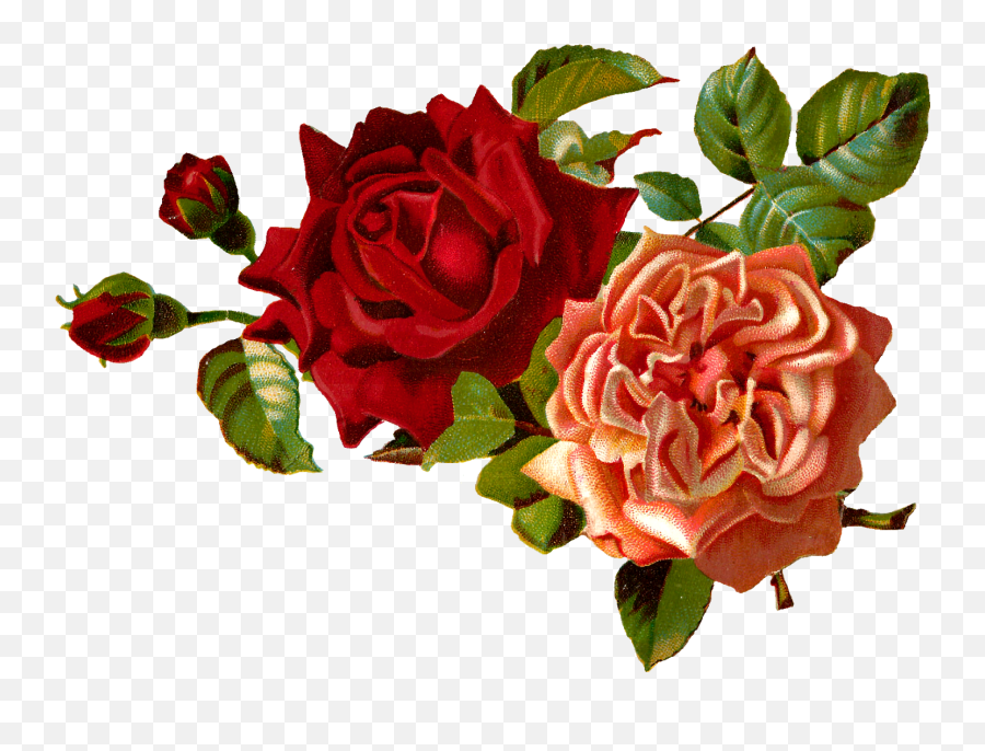 Red Flower Clipart Vintage Red - Transparent Vintage Flowers Transparent Vintage Flower Clipart Emoji,Red Rose Emoji