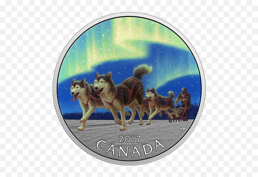 Dog Sledding Under The Northern Lights - Dog Sleeding In Canada Emoji,Husky Emotions