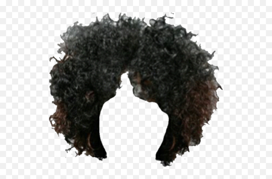 Hair Brownhair Afro Wig Snatched Sticker By Jaklynn - Afro Wig Png Transparent Emoji,Love Your Curls Emoji
