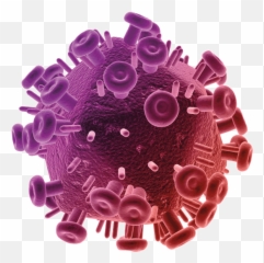 Training Environment - Virus Hepatitis C Png Emoji,Cycle Of Undealt With Emotions