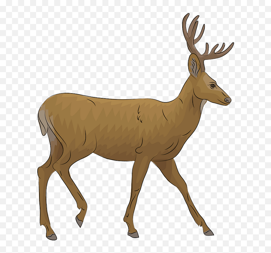 Mule Deer Clipart - Mule Deer Clipart Emoji,Whitetail Deer Emoji