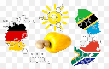 Publications - Winter Squash Emoji,Wamba Emoticons