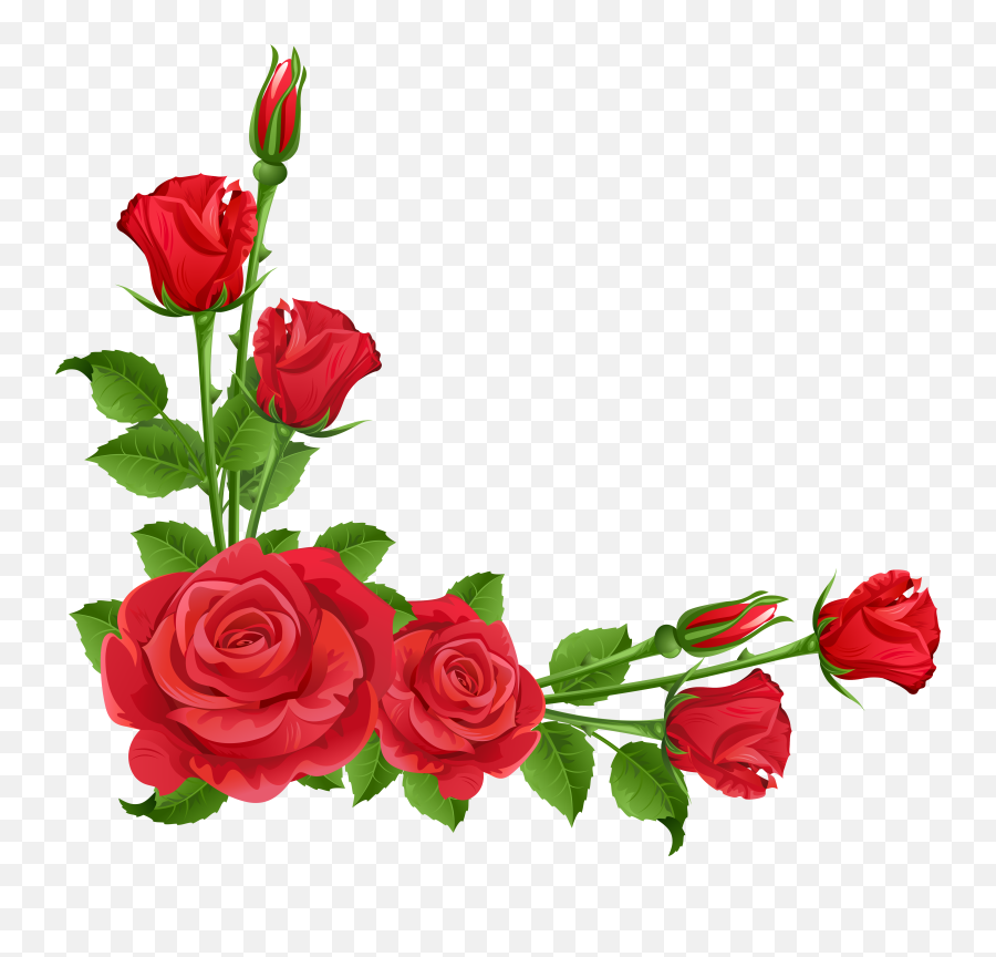 Free Rose With Transparent Background Download Free Clip - Transparent Background Rose Border Png Emoji,Red Rose Emoji