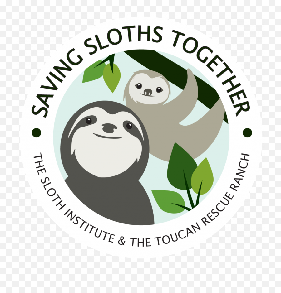 Sloth Month The Fifth Anniversary - Happy Emoji,Emotions Secretos