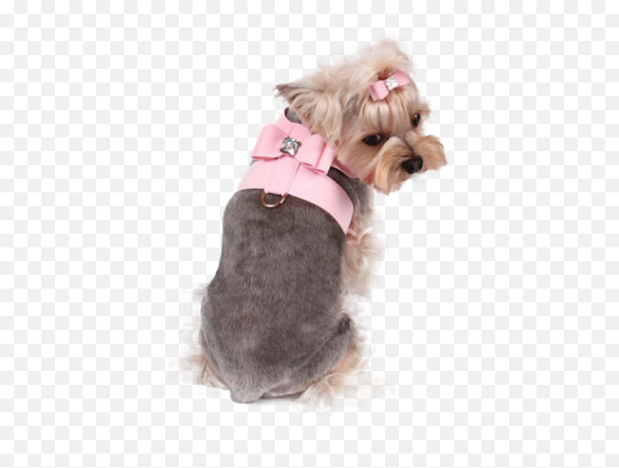 Yorkie Pink Psd Official Psds - Dog Clothes Emoji,Yorkie Emoji