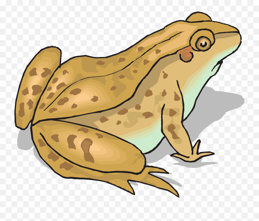 Brown Spotted Frog Png Svg Clip Art - Toad Clipart Emoji,What Is Coffee Frog Emoji