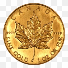 Reasons To Own Gold And Silver Emoji,What Does Maple Leaf And Wheel Emoji Mean