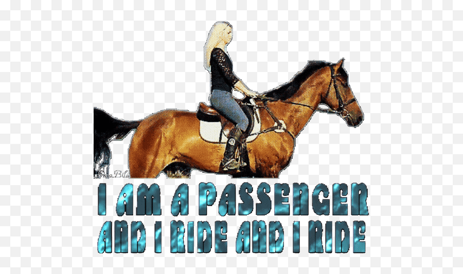 Top Horse Riding Girl Stickers For Android U0026 Ios Gfycat Emoji,Horse Jet Emoji Pop