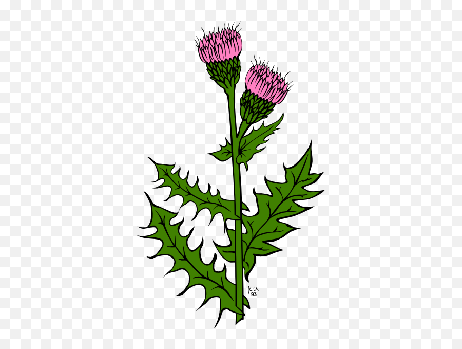 Grass Clip Art - Scottish Thistle Drawing Transparent Emoji,Thistle Emoji