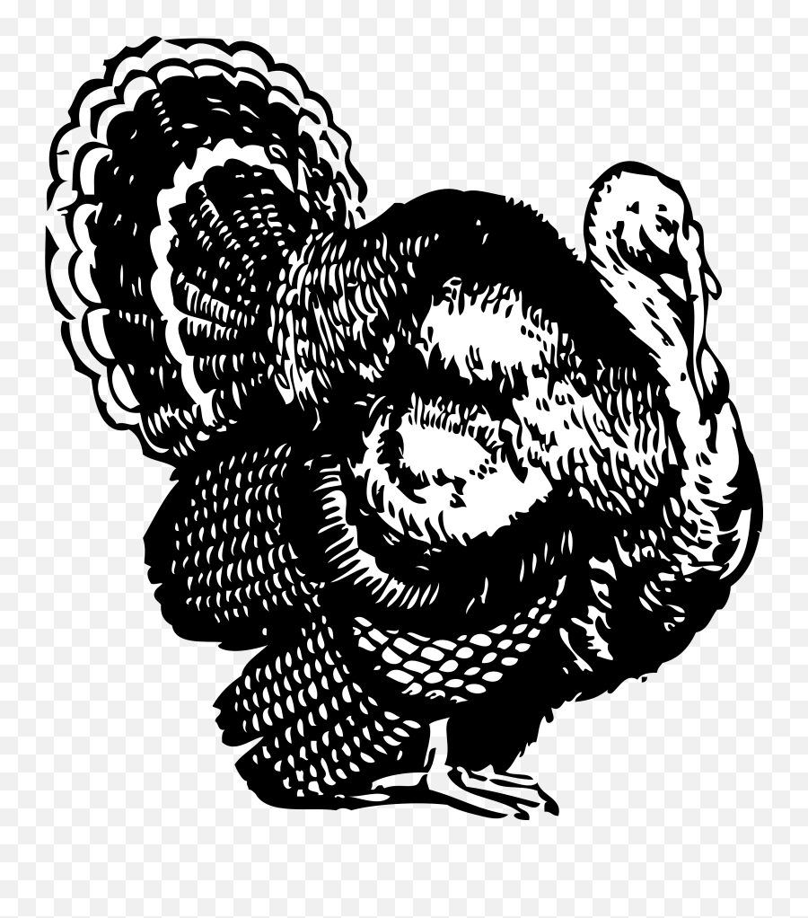 Free Cleaning Turkey Cliparts Download Free Clip Art Free - Turkey Clip Art Black And White Emoji,Strutting Emoji