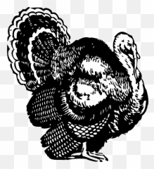Free Cleaning Turkey Cliparts Download Free Clip Art Free - Turkey Clip Art Black And White Emoji,Strutting Emoji