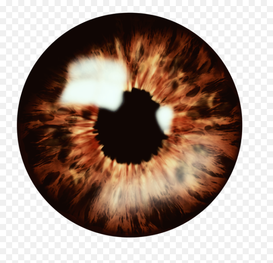 Scbrown Brown Eye Eyes Sticker - Transparent Eyes Lenses Png Emoji,Brown Eye Emoji