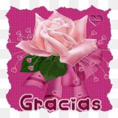 Top Jinyoung Hong Stickers For Android U0026 Ios Gfycat - Stickers De Gracias Con Rosas Emoji,Got7 As Emojis