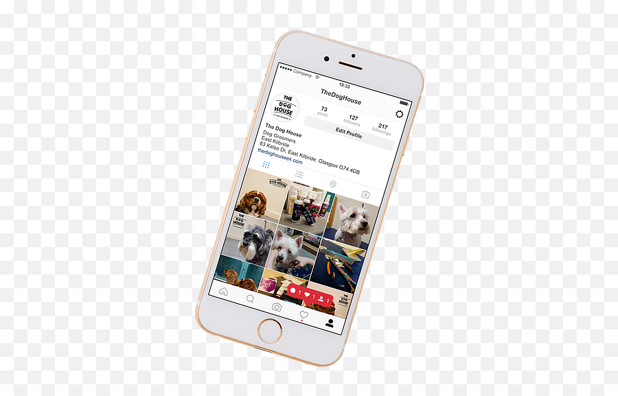 Download Insta - Iphone Full Size Png Image Pngkit Iphone Instagram Transparent Emoji,Dog Iphone Emoji Transparent Png