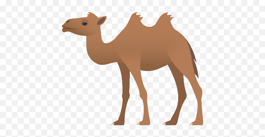 Two Hump Camel Nature Sticker - 2 Hump Camel Gifs Emoji,Humping Emojis Gif