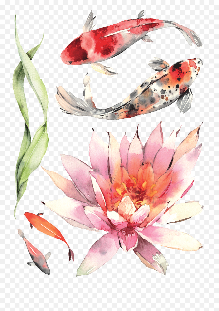 Temporary Tattoos Buy - Koi Carp Part 1 Color Emoji,Yin Yang Tattoo Emotion