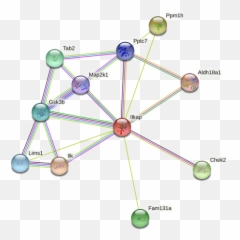 Ilkap Protein - Dot Emoji,Inside Out Emotion Matrix